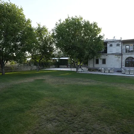 Cevizli *